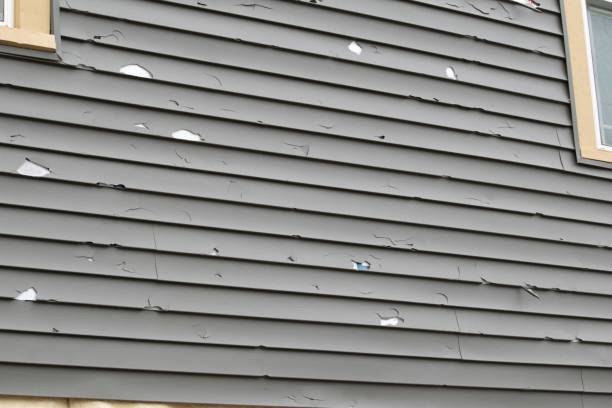 Best Dumpster Rental Services  in St Louis, MO